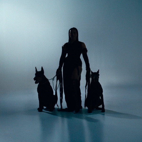 Una bala - Single album cover