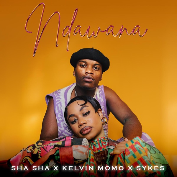 Ndawana - Single album cover