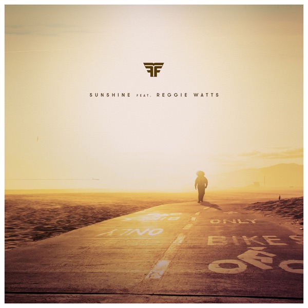 Sunshine (feat. Reggie Watts) - Single album cover