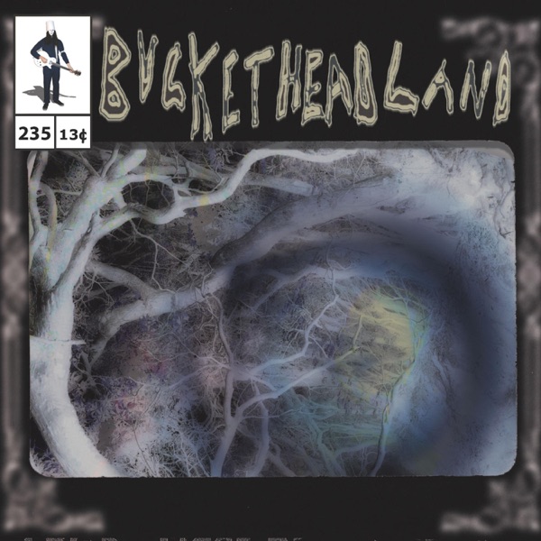 Oneiric Pool album cover