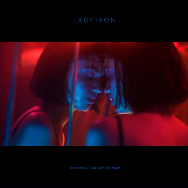 The Animals (Pato Watson Remix) - Single album cover