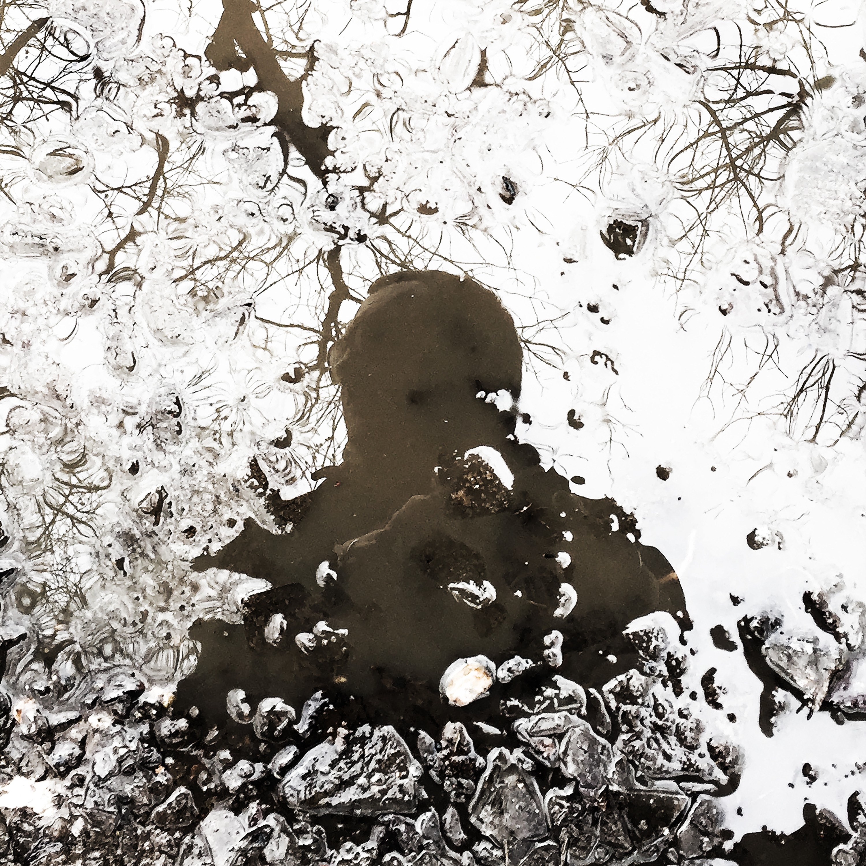 Hole in the Weather - Single album cover