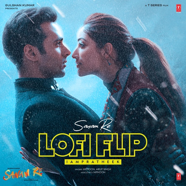 Sanam Re Lofi Flip - Single album cover