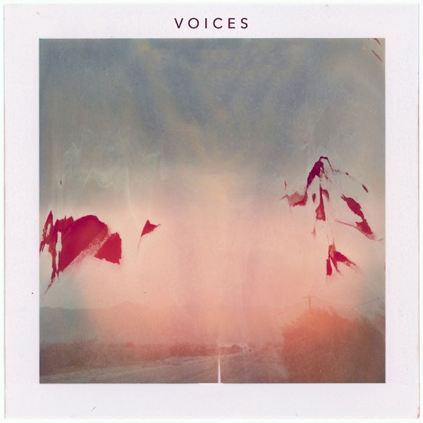Voices album cover