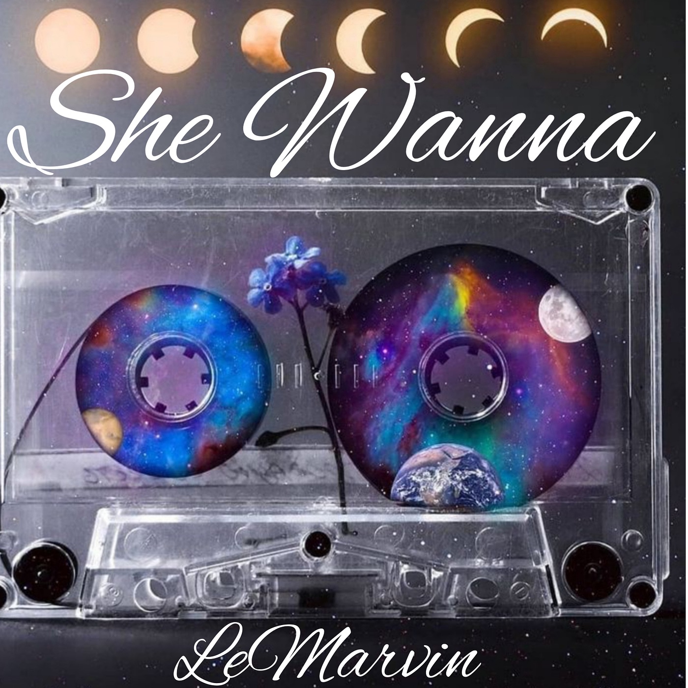 She Wanna - Single album cover