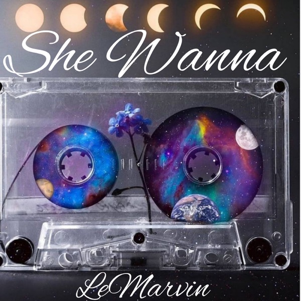 She Wanna - Single album cover