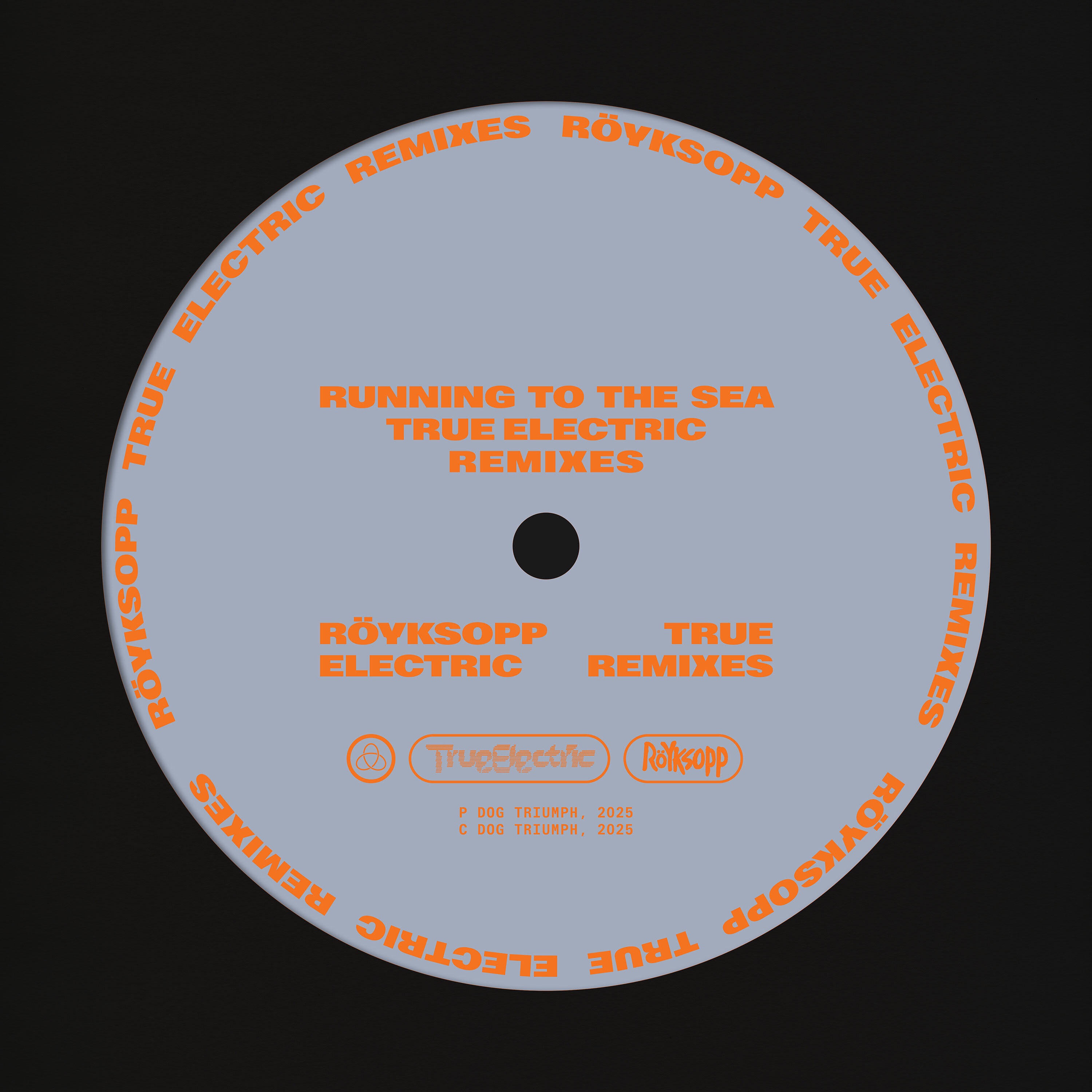 Running To The Sea (True Electric Remixes) [feat. Susanne Sundfør] - Single album cover