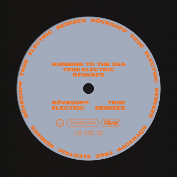 Running To The Sea (True Electric Remixes) [feat. Susanne Sundfør] - Single album cover
