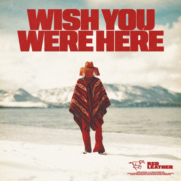 WISH YOU WERE HERE (FAR AWAY) - Single album cover