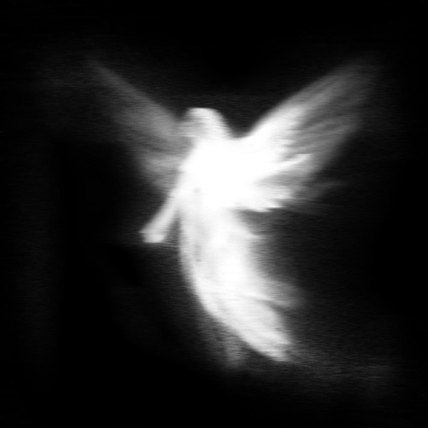 Angel - Single album cover