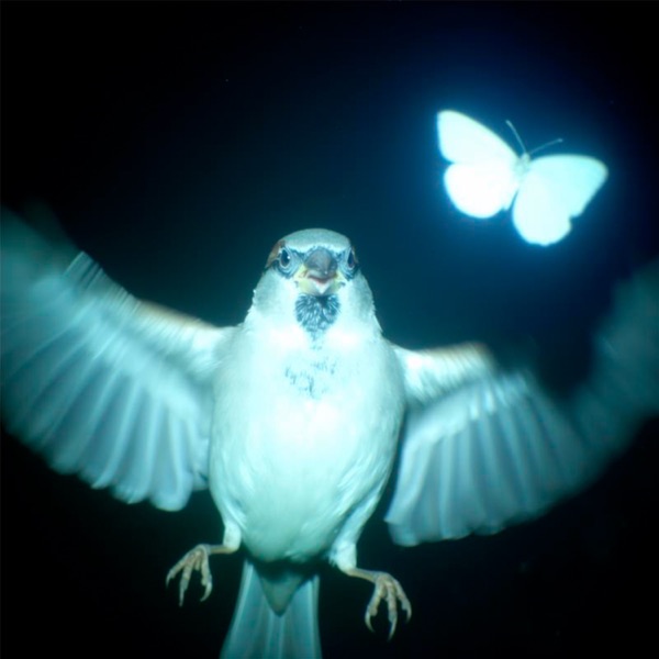 El Amor Vuela - Single album cover