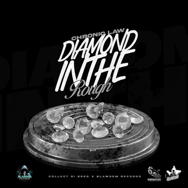 Diamond In The Rough - Single album cover