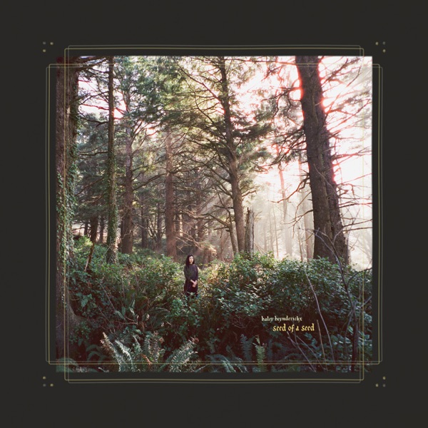 Seed of a Seed album cover