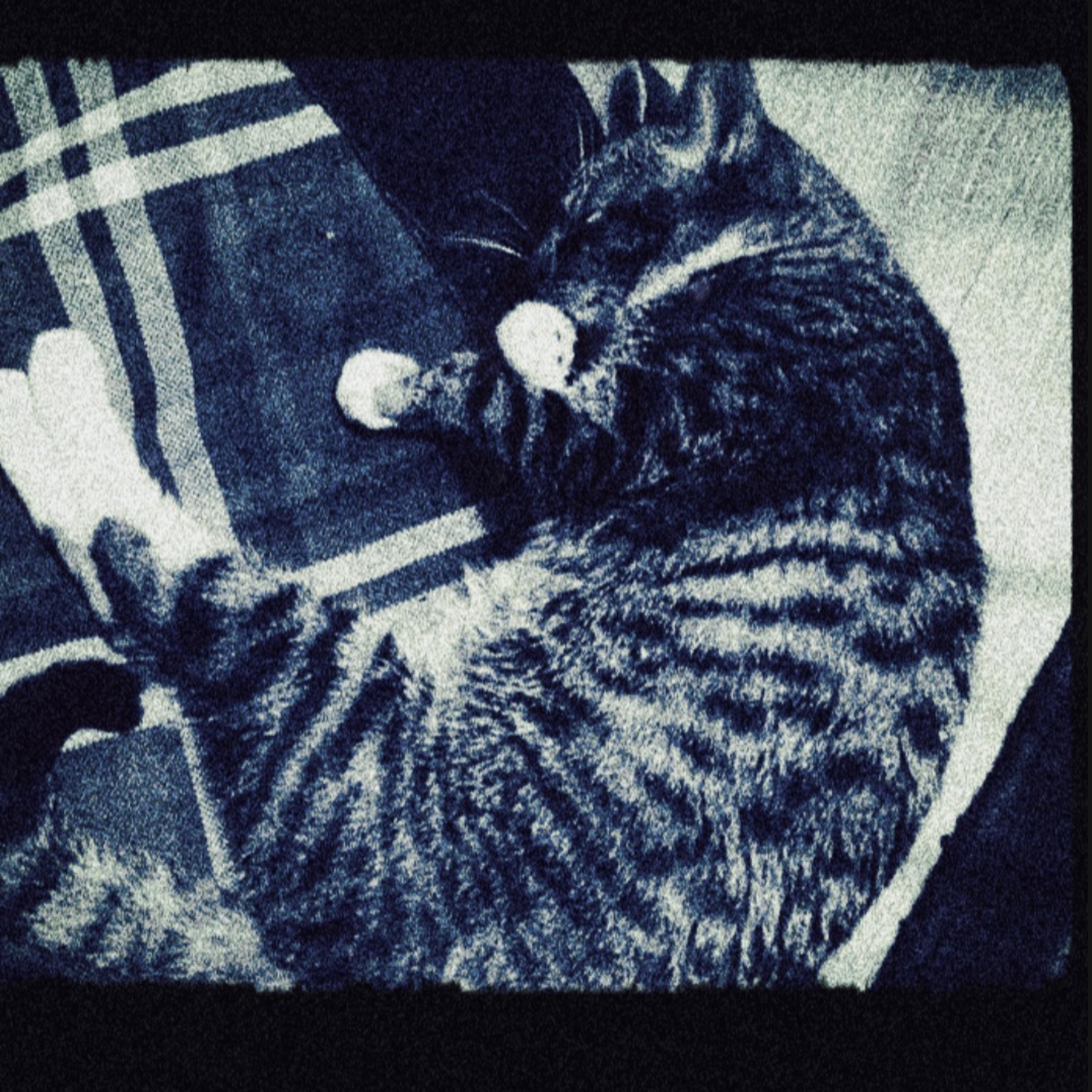 i will never ask - Single album cover