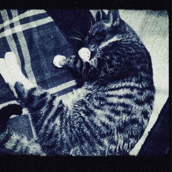 i will never ask - Single album cover