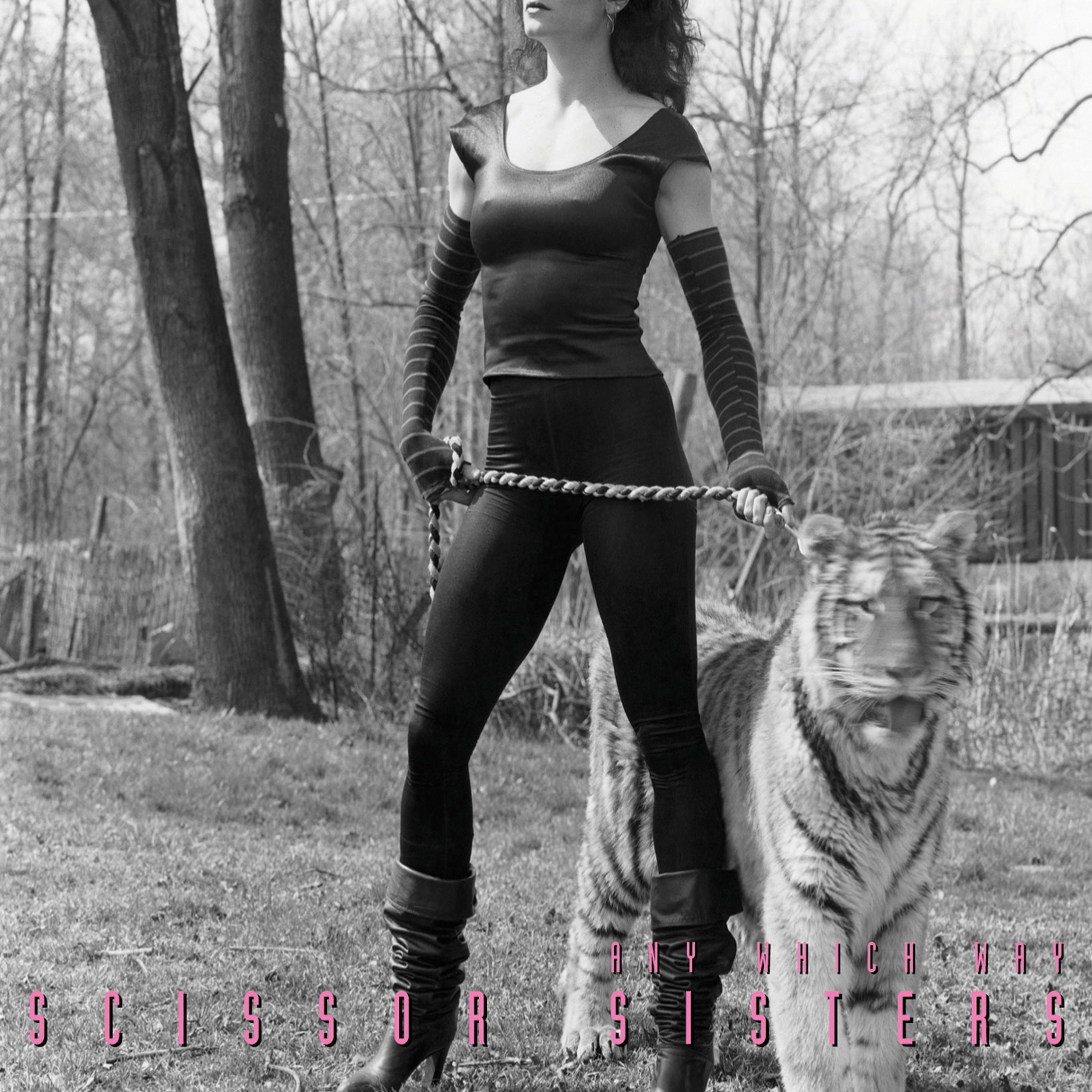 Any Which Way - EP album cover