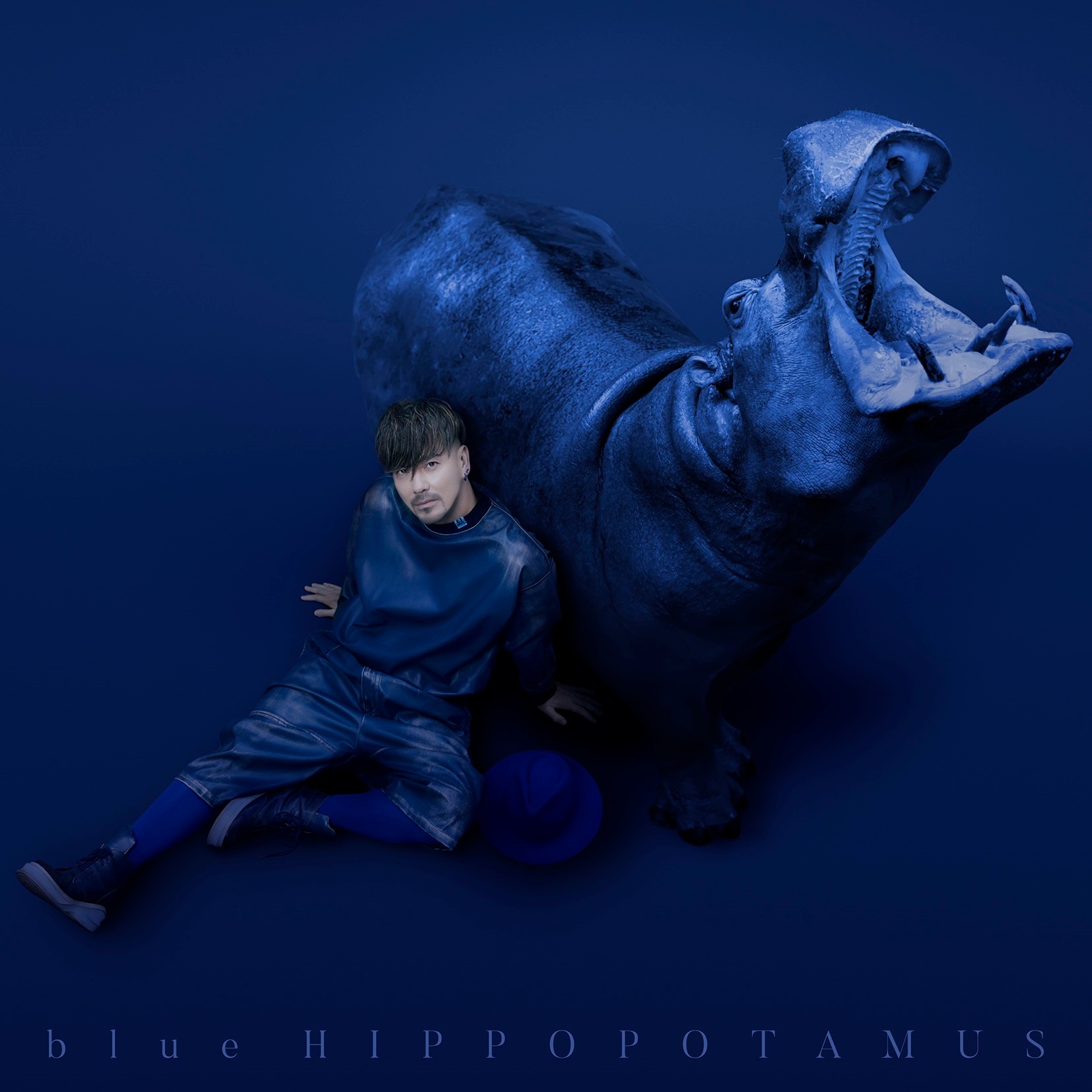 blue HIPPOPOTAMUS album cover