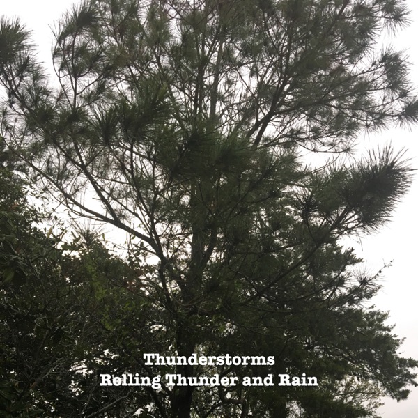 Rolling Thunder and Rain - Single album cover
