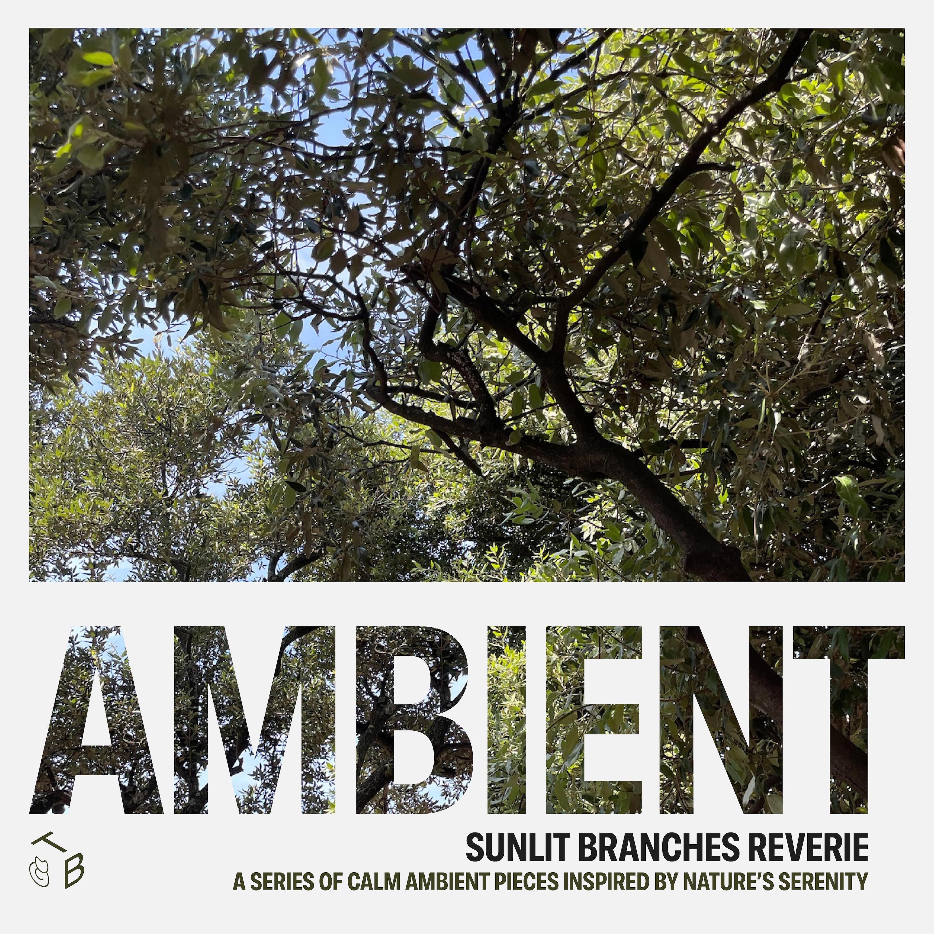Sunlit Branches Reverie - EP album cover