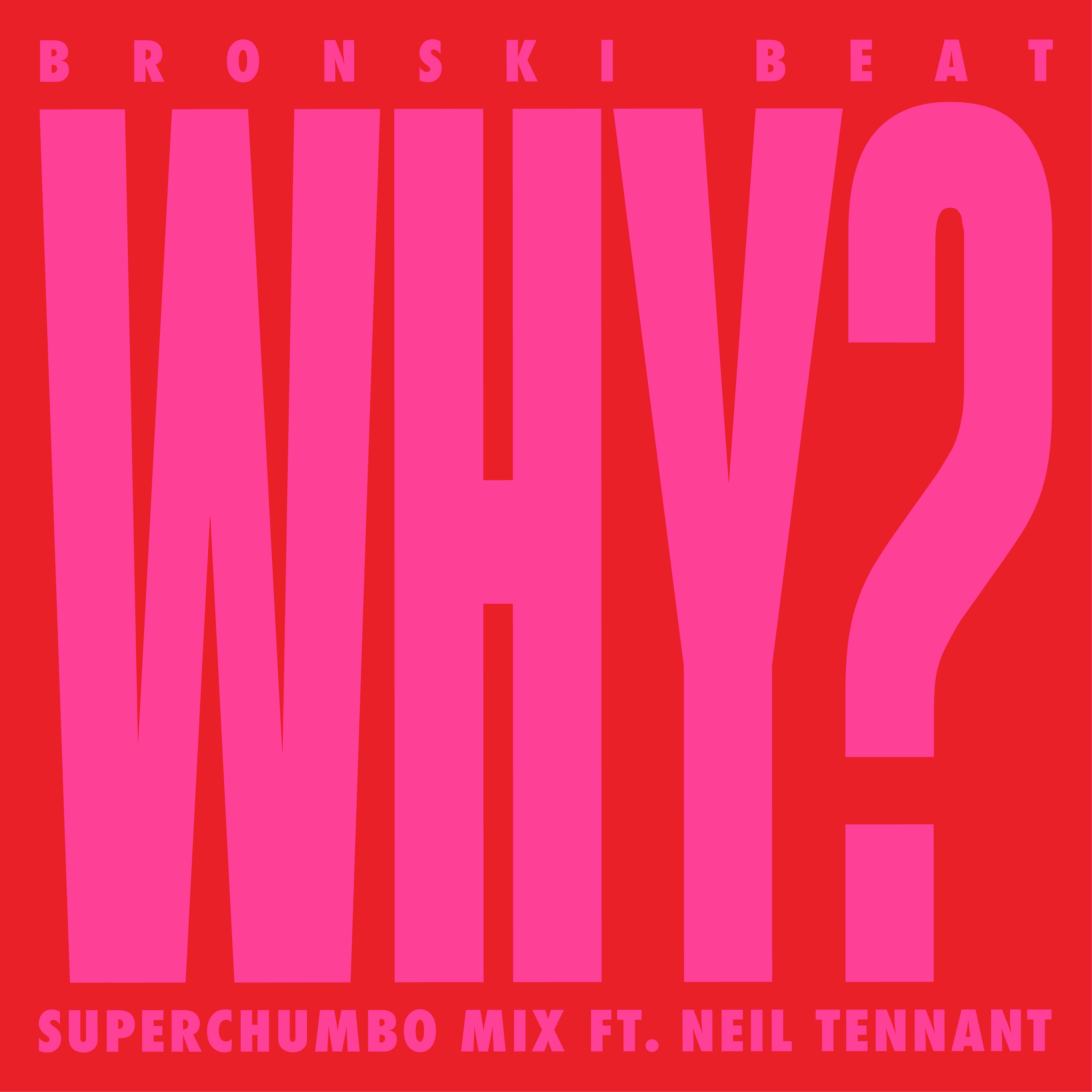 Why? (Superchumbo Mix) [feat. Neil Tennant] - Single album cover