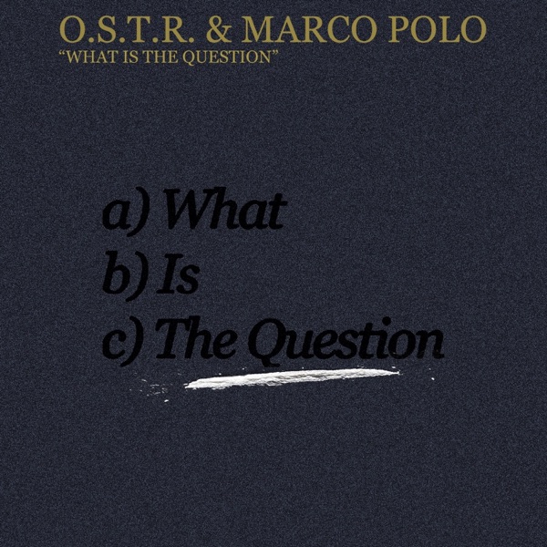 What Is The Question - Single album cover