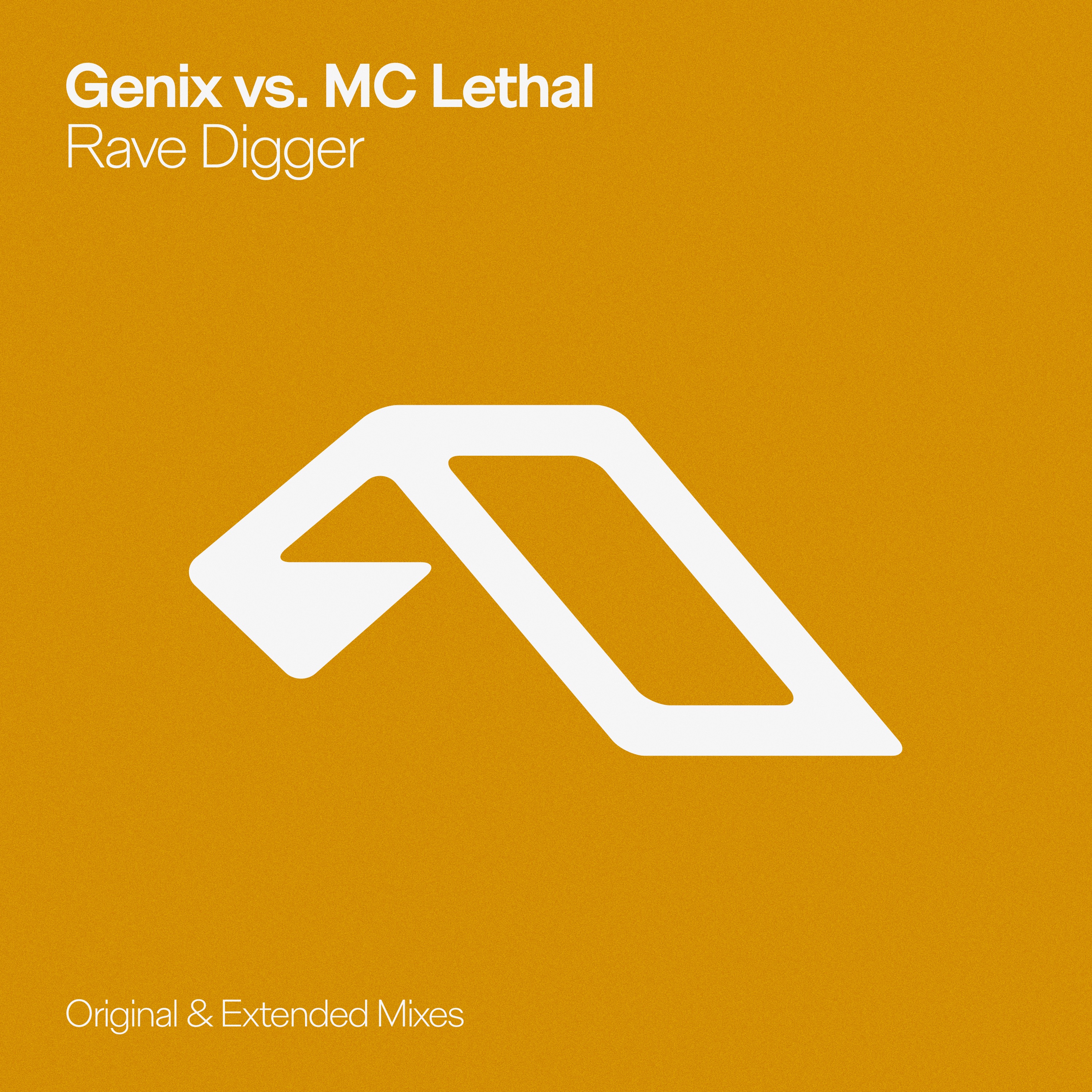 Rave Digger album cover