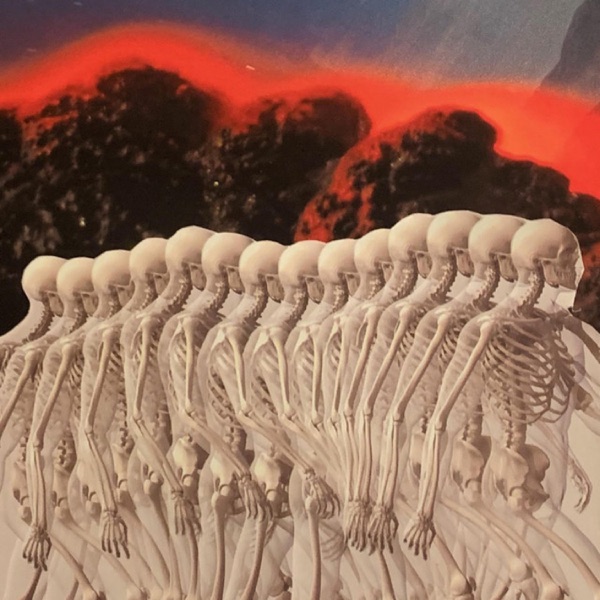 Fertilizer - Single album cover