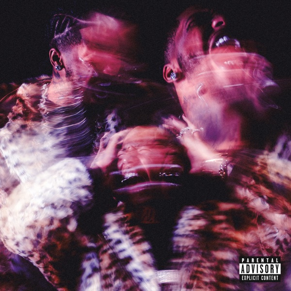 PROJECT X album cover