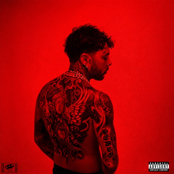 RED ROOM album cover