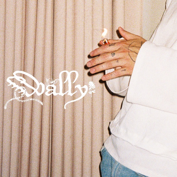 Wally - Single album cover
