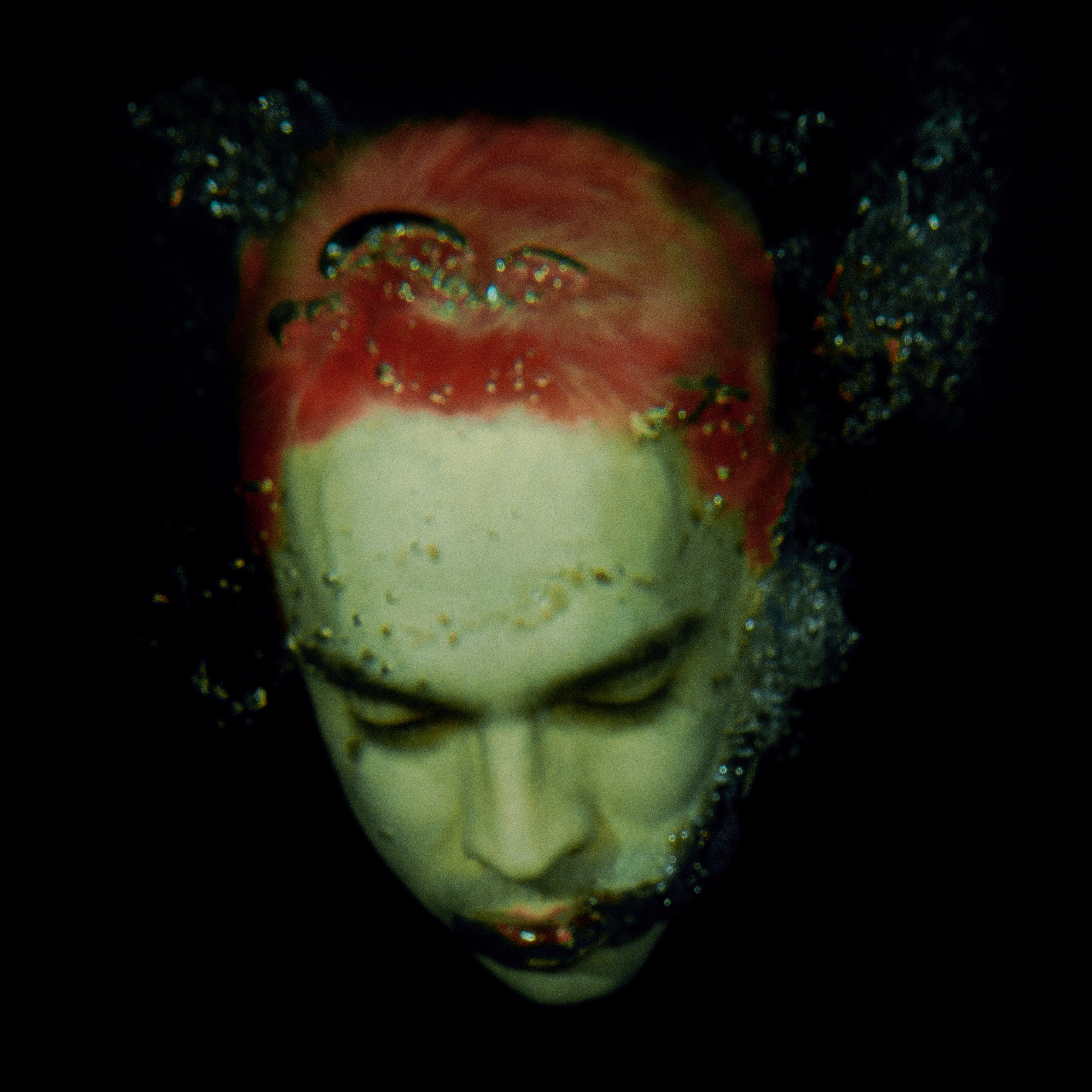 Salvador album cover