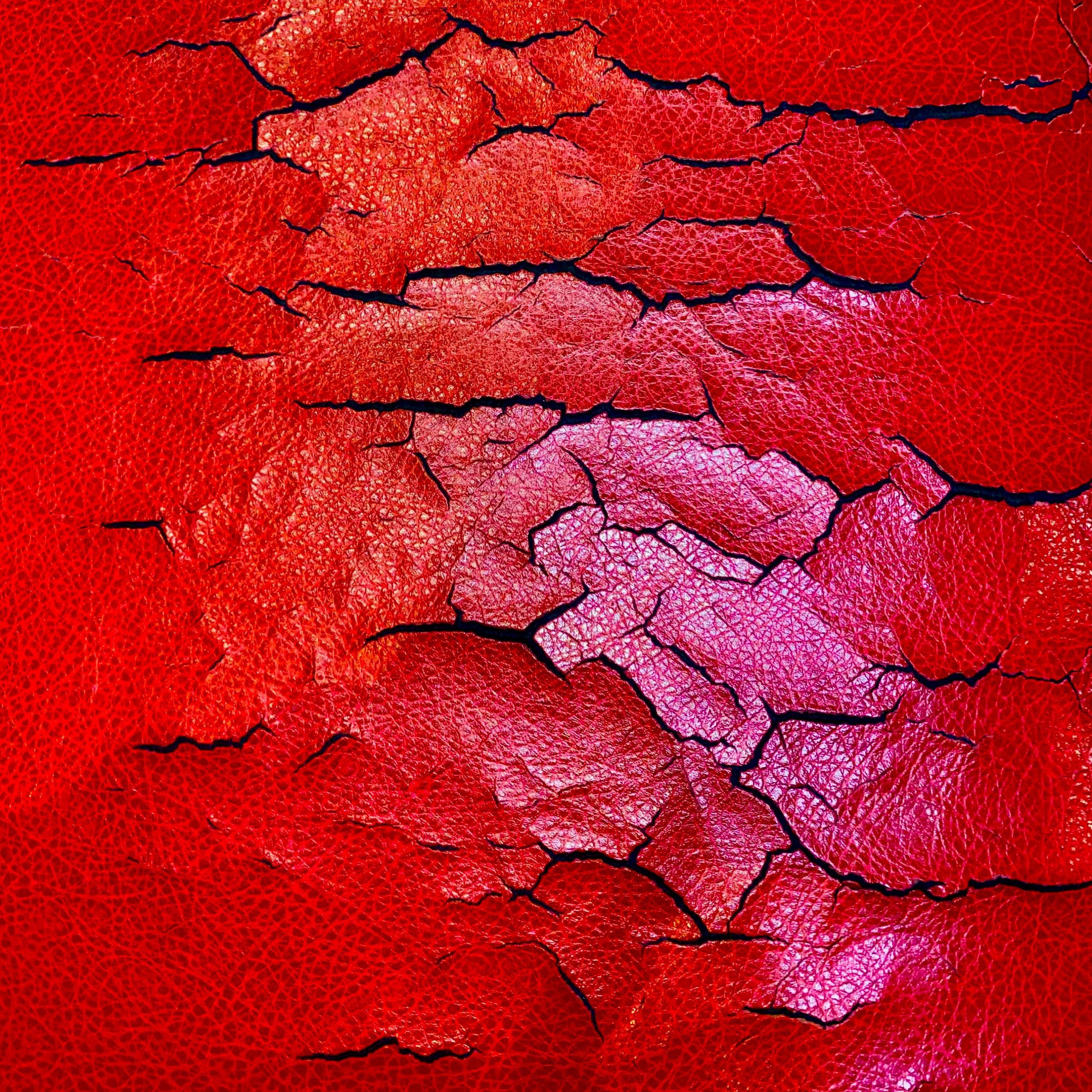 Protest Against The Future album cover