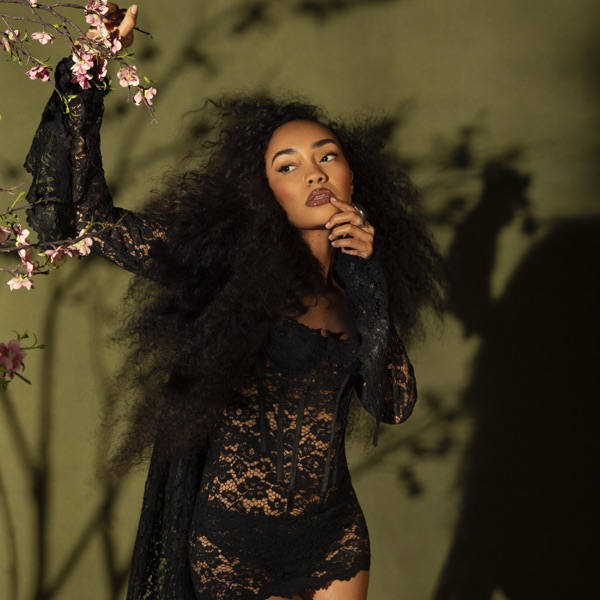 Forbidden Fruit - Single album cover