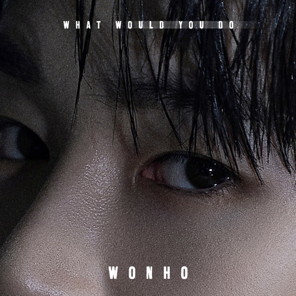 What Would You Do - Single album cover