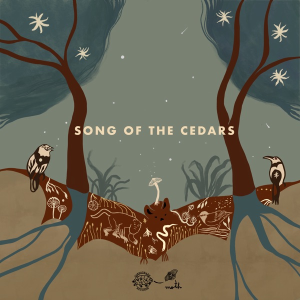 Song of the Cedars (feat. Giuliana Furci) - Single album cover