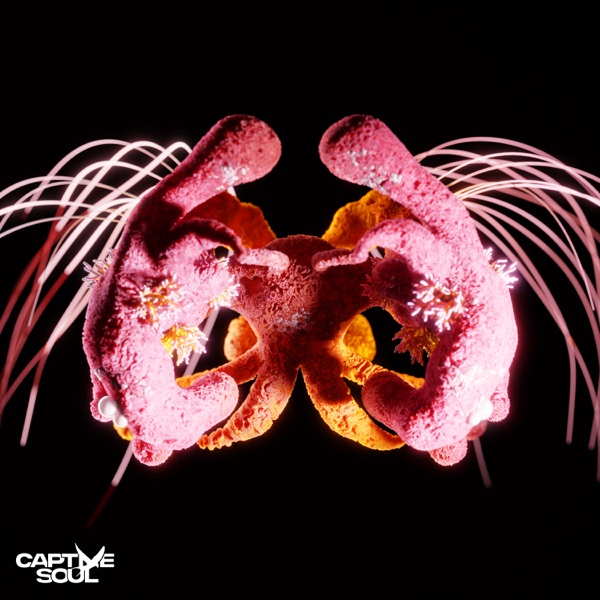 With You - Single album cover