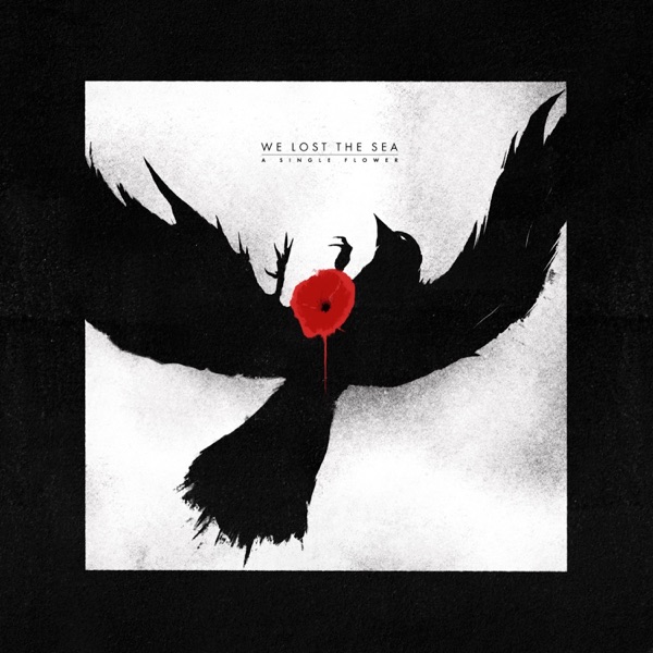 A Single Flower album cover