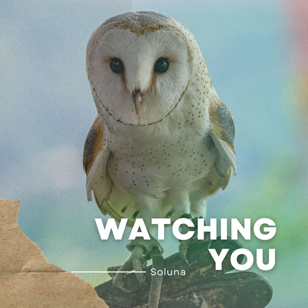 Watching You - Single album cover