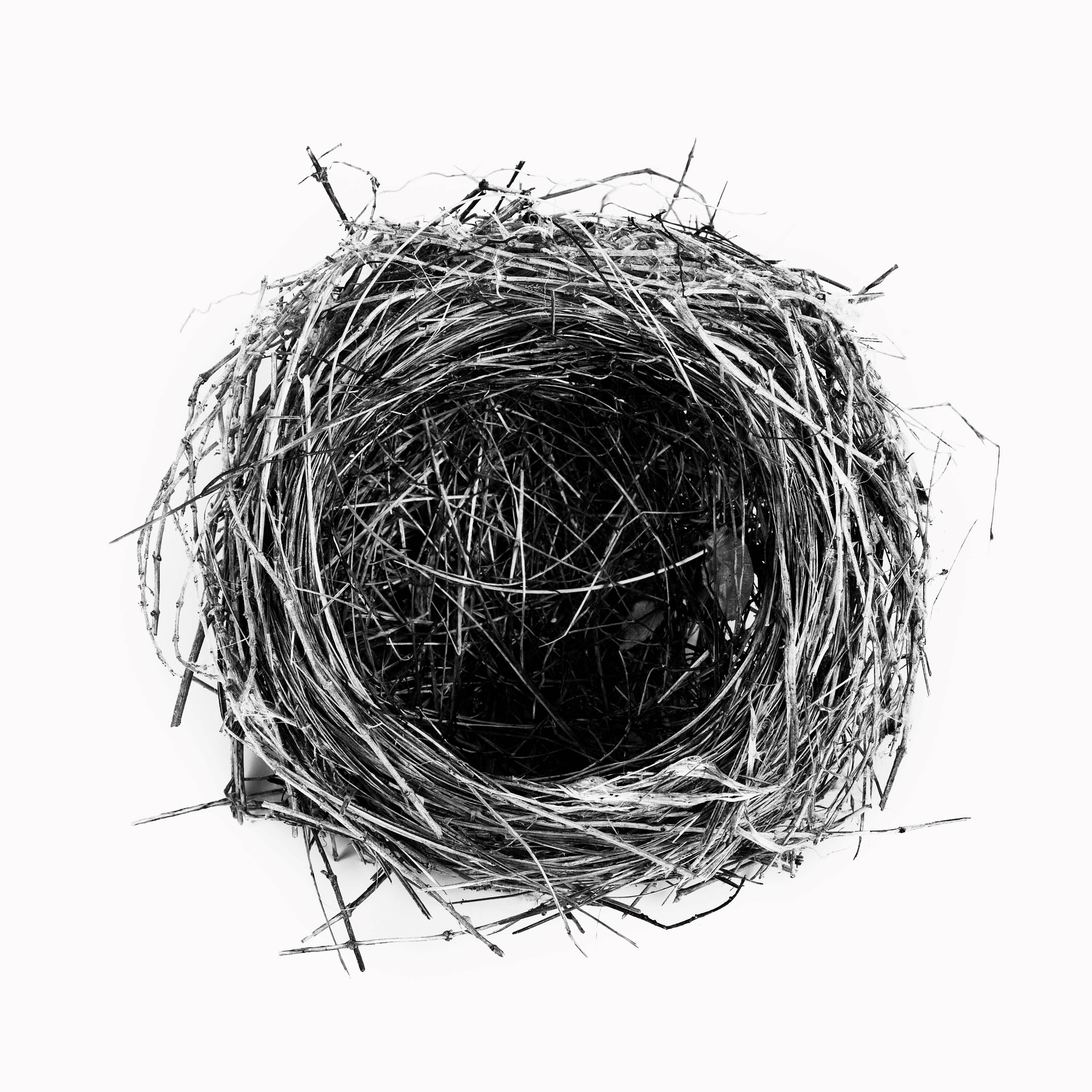 Lullula - Single album cover