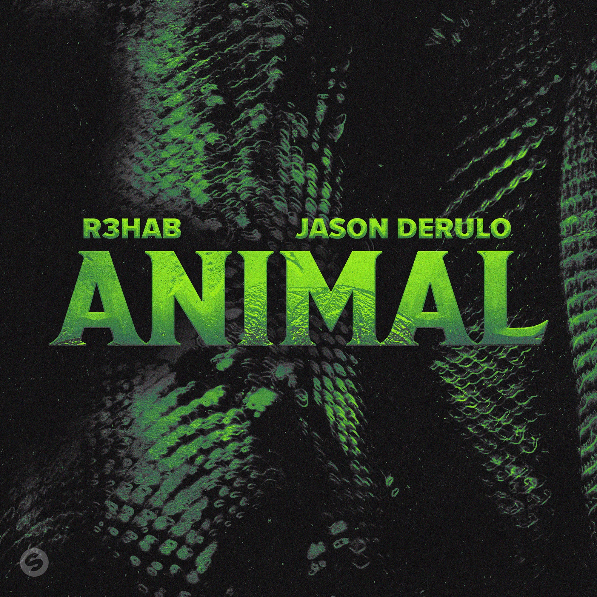 Animal - Single album cover