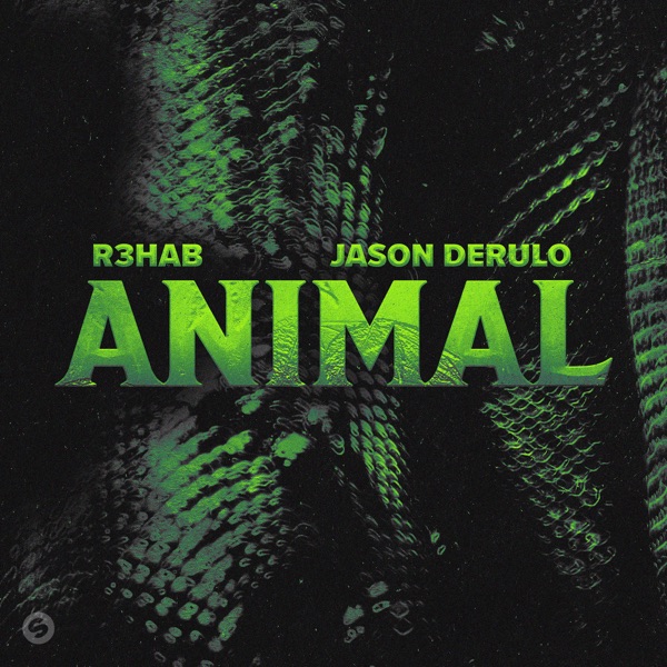 Animal - Single album cover