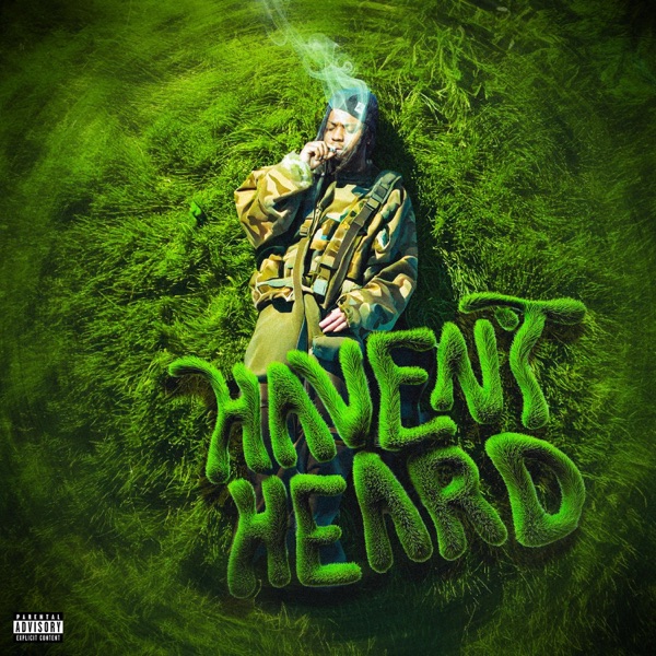 Haven't heard - Single album cover