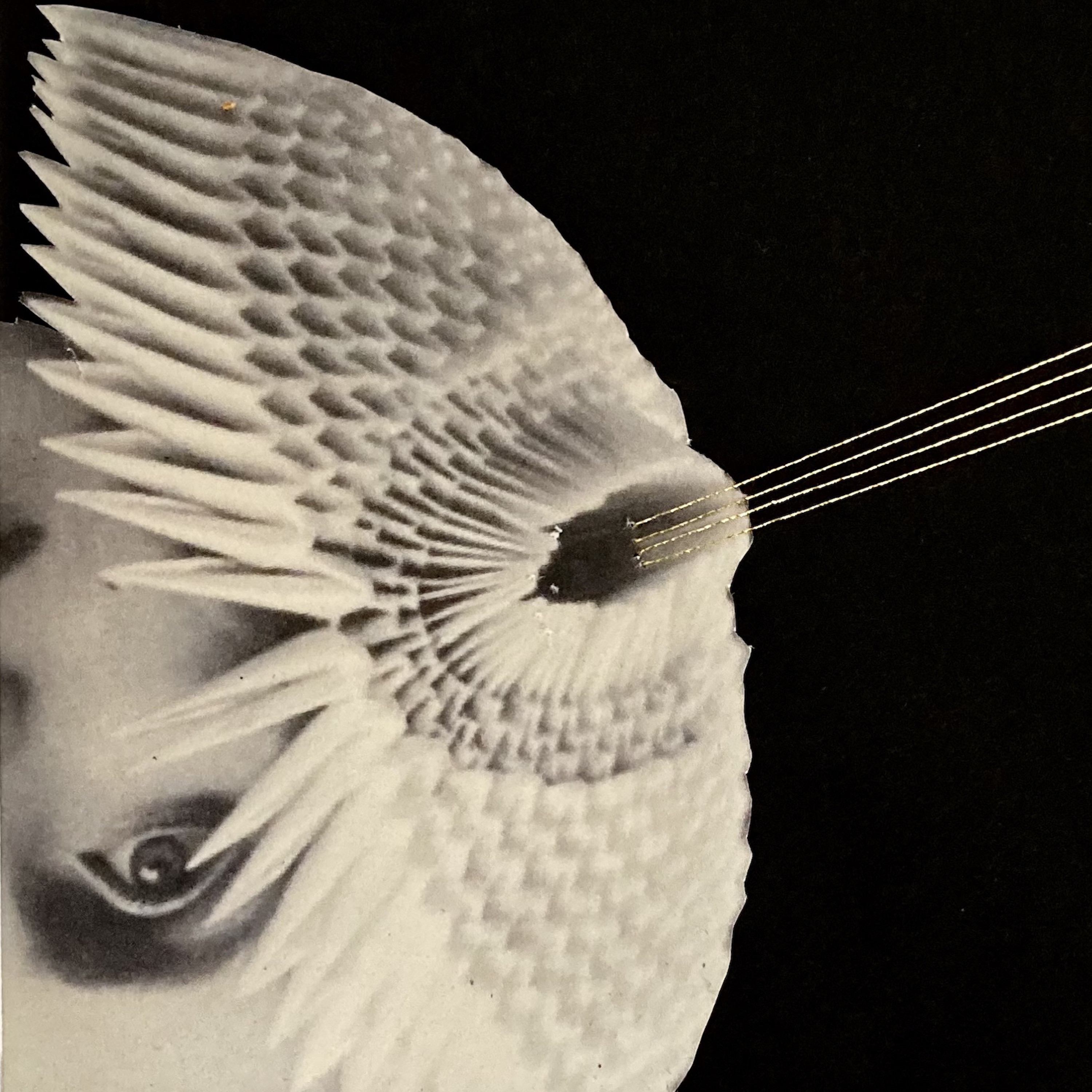 122 - Single album cover