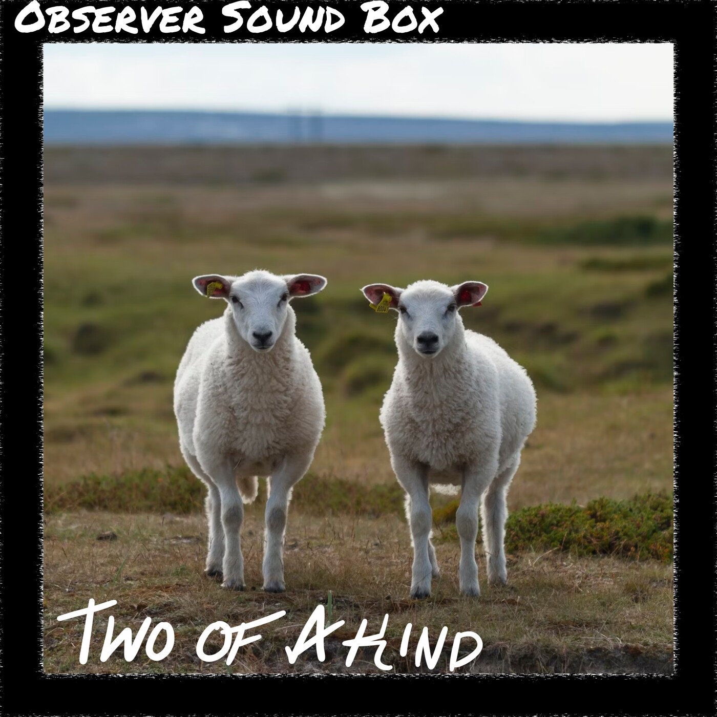 Two Of A Kind album cover