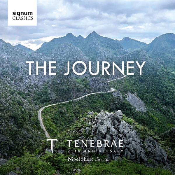 The Journey album cover