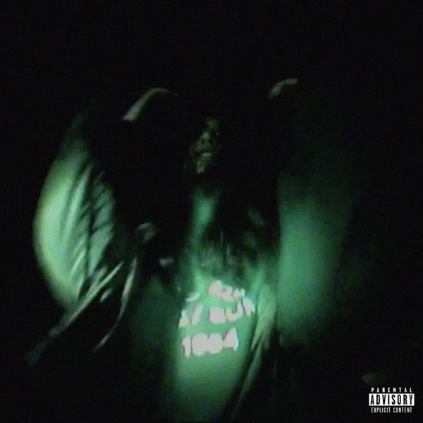 Veins - Single album cover