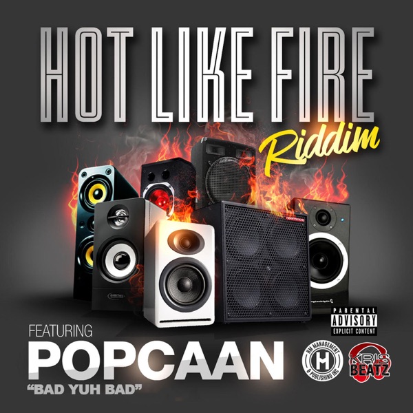 Hot Like Fire Riddim - Single album cover