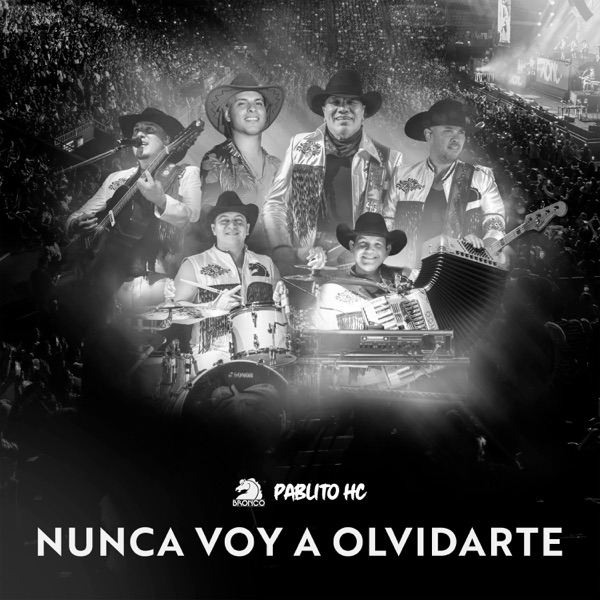 Nunca Voy A Olvidarte (En Vivo) - Single album cover
