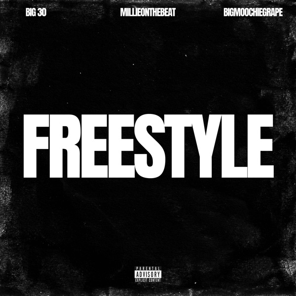 Freestyle (feat. Big 30 & Big Moochie Grape) - Single album cover