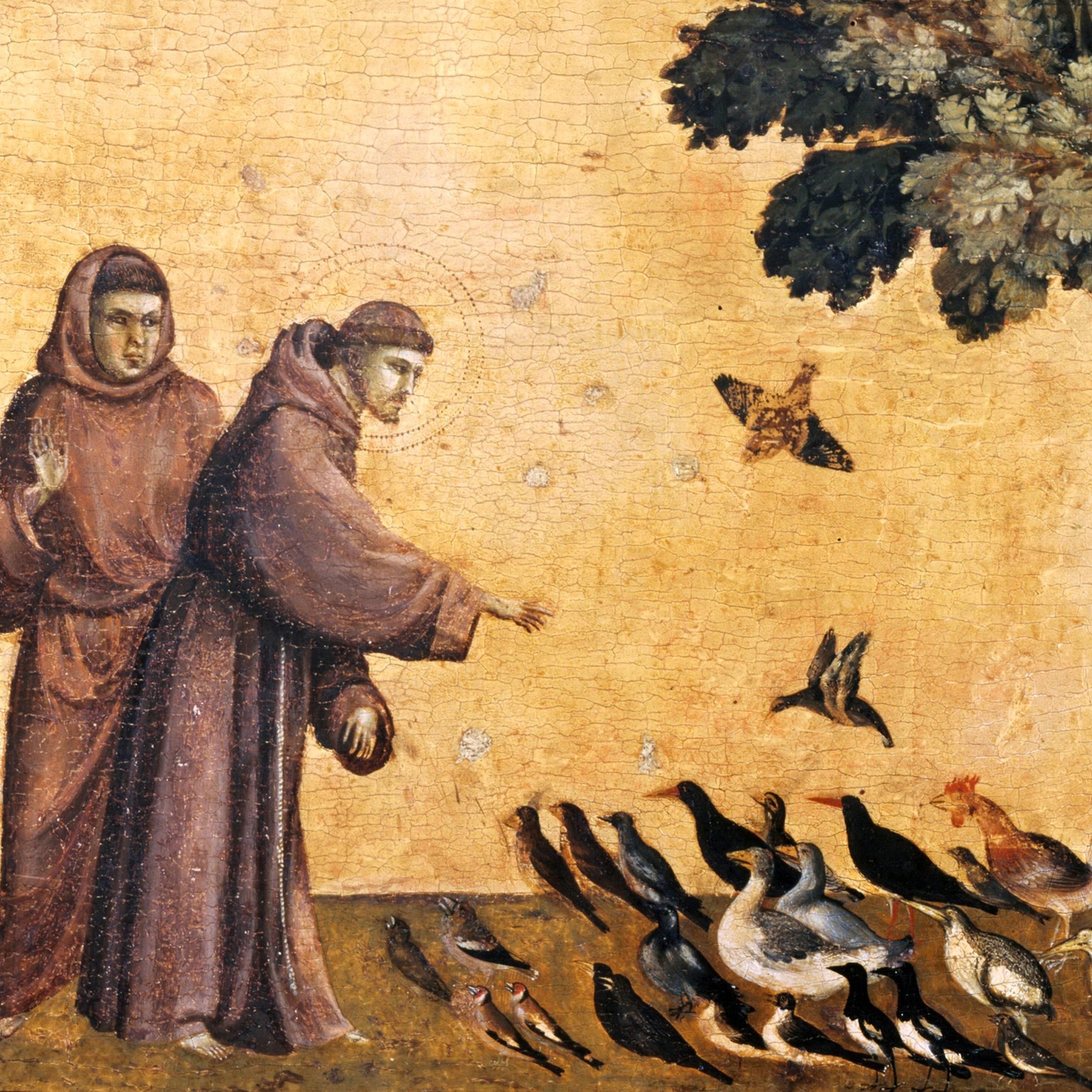 The Flowers of St. Francis - Single album cover